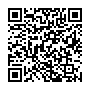 陆为民又出卖双峰的利益来为舒雅搞调研做文章当靶子o阿二维码生成