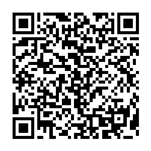 陆为民和齐元俊在做了大量工作后最终决定按照百分之十股权奖励二维码生成