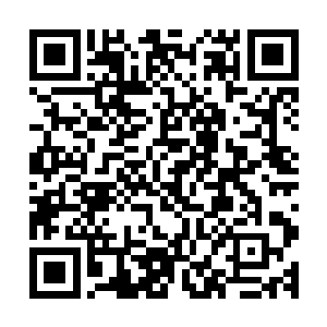 陆为民很懂规矩的走到了椭圆形的会议桌斜对面的弧点上坐下二维码生成