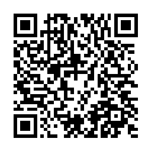 陆为民很随意的弯腰替对方把长裙后摆拉了拉抚平br二维码生成