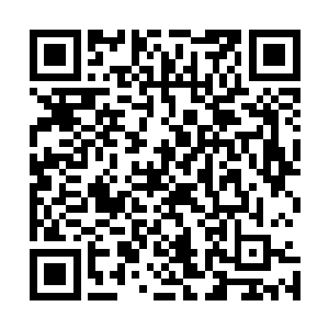陆为民把内心所想和盘托出给对夏力行的触动是难以言喻的二维码生成