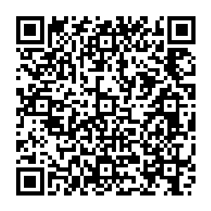 陆为民把经济全球化和自身招商引资与建立主导产业的一些经验谈了一些自己的看法二维码生成