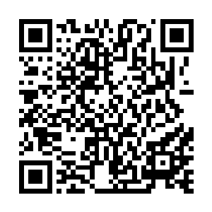 陆为民既然对接触包括民盟在内的缅甸其他政党如此积极二维码生成