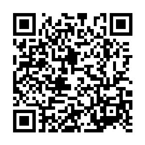 陆为民通知杜启立送了两台车到中国大酒店这边来二维码生成