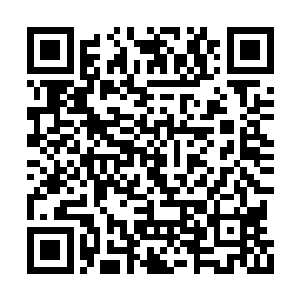 陆仲明的战气狼烟是他给他老婆林浣溪发的信号二维码生成