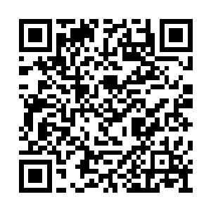 陆卿那轻蔑的小眼神往苏宁与的身上就那么一放二维码生成