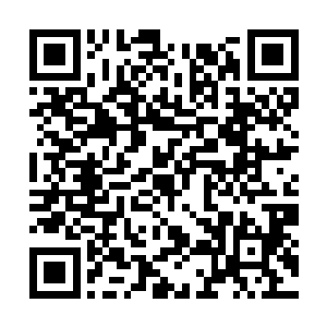 陆天养俊脸微红同阿九讨论只属于女子的私密话题二维码生成