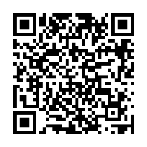 陆家不但把赵家持续壮大后的恐怖场景给描述出来二维码生成