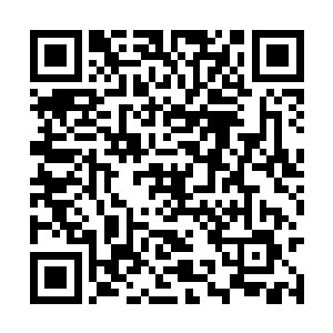 陆家是有意等女学的结业礼之后再定儿媳妇的人选二维码生成