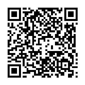 陆家的嫡系就已经确定自家就是前朝的皇室嫡系血脉继承者二维码生成