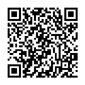 陆导自然明白韩其远和张虹男女主角是肯定演不了了二维码生成