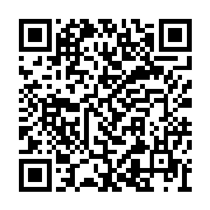 陆尘把刚才发生在医院大门口的一切全收在眼底二维码生成