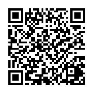 陆庭舟看着这位素来最爱和皇帝对着干的内阁大学士二维码生成