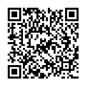 陆志华的这番话就绝对不是她道听途说那么简单了二维码生成