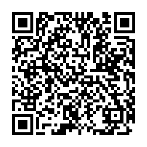 陆续从天庭暗桩那边得到回复的四道将主亦陆续劝了四位圣主离去二维码生成