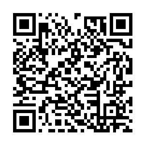 陆轻盈已经进化到了穿什么衣服都无所谓的地步了二维码生成