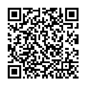陆逊以及一批骑马的将士已经和秦狼那几人会合一起二维码生成