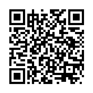 陈一凡回头看了看依然安静的树林二维码生成