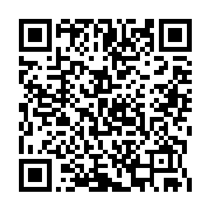 陈之山在创造出作品的时候的确会消失上一阵子二维码生成