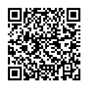 陈千羽竟然也是和姜美玲保持着一样的姿势在玩游戏二维码生成