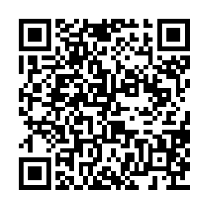 陈天彪一大早在自己的杜平县搞出这么大的动作二维码生成