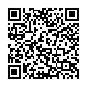 陈太忠也不是想真的帮她起名字――这个因果有点大二维码生成