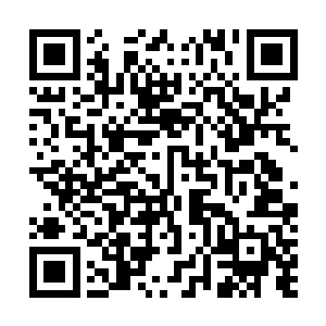 陈富贵拿着一块血红色的巴掌大小的木板来到了我的面前二维码生成