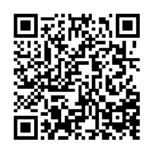 陈小练又想了他最后的那句话……你觉得你是不是二维码生成