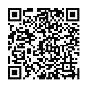 陈小练只隐约的能看清队伍的一半……他心中只有一个疑惑二维码生成