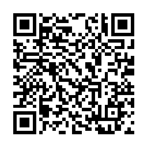 陈小练和旗木西下车后就躲藏在了街道旁的巷子口二维码生成