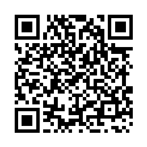 陈小练和罗迪两人走出机场通道来到外面二维码生成