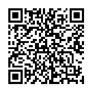 陈小练在这次副本之前备用的治疗兽血已经消耗得差不多了二维码生成
