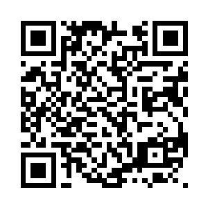 陈小练的决定得到了团队所有人的同意二维码生成