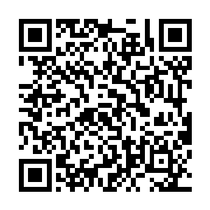 陈小练错估了眼前这长得如同哥斯拉一般的怪兽的行动模式二维码生成