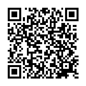 陈建国竟然因为稍微来迟了一点而在向眼前的这个少年道歉二维码生成