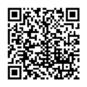 陈建跟边学道的关系不如寝室里另外几人跟边学道那么好二维码生成