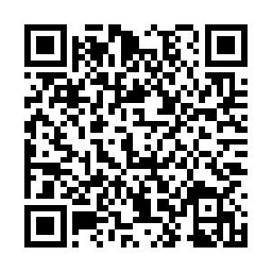 陈彦允板着脸一本正经的样子还真像个严厉的先生二维码生成
