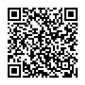 陈易清真的没有想到自己的父亲竟然真的答应了自己二维码生成