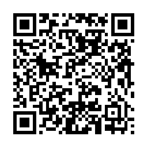 陈景皓的脸上也满是惊讶的看着从墙壁中钻过去的蜈蚣二维码生成