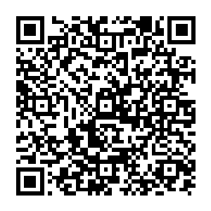 陈树避开潮水一样到处奔走的人群独自上了残破的敌楼从上方望着这片混乱的气氛二维码生成