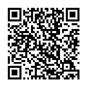 陈洪这条老狗经常说龚澄枢是他这辈子最敬佩的人二维码生成