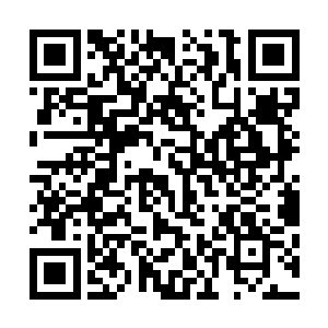 陈浩然看到了欧阳志远那双手熟练的给自己的母亲按摩扎针二维码生成