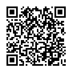 陈若唯拿给我的竟然是一个那种透明的泡菜坛子二维码生成