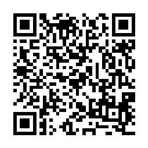 陈观从白爱晓的头发一路亲到了下腹部那一团锦绣二维码生成