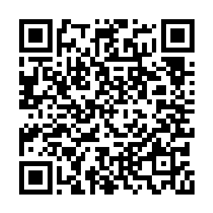 陈观带着澹台明月专门找了一家上海风味的饭店二维码生成