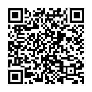 陈观想不到一件小事还真的能让白爱国弟兄两个下这样的黑手二维码生成