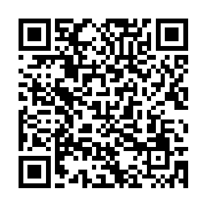 陈诚利用自己超高的伤害配合日女干掉了所有敌人二维码生成