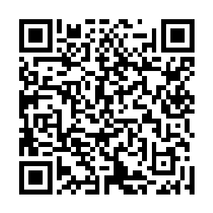 陈诚等人还没来得及为刚刚那一波成功的蓝buff入侵感到开心二维码生成