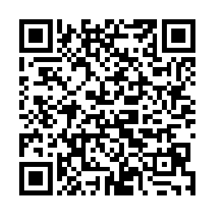 陈贞已经放弃去好奇切萨雷精准的选片眼光到底从何而来二维码生成
