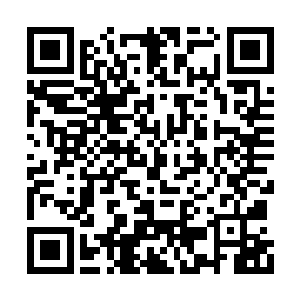 陈长生便知道自己快输了――他也自幼通读道藏二维码生成